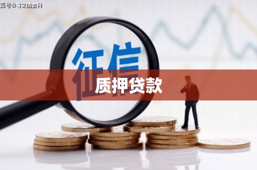 平和质押贷款
