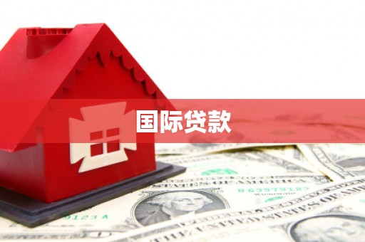 平和国际贷款