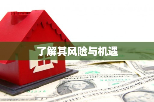 平和了解其风险与机遇