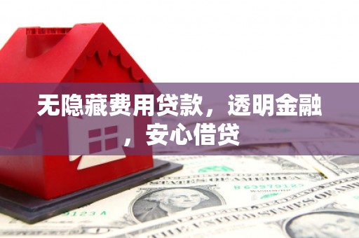 平和无隐藏费用贷款，透明金融，安心借贷