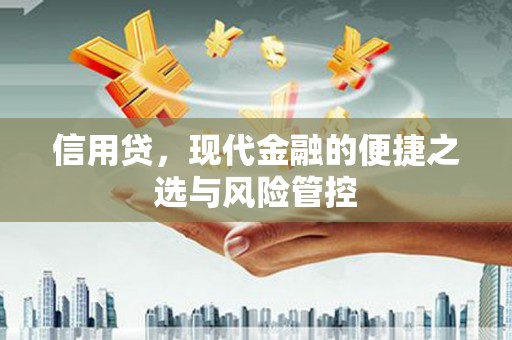 平和信用贷，现代金融的便捷之选与风险管控