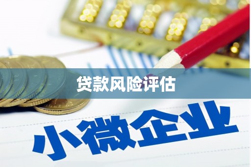 平和贷款风险评估